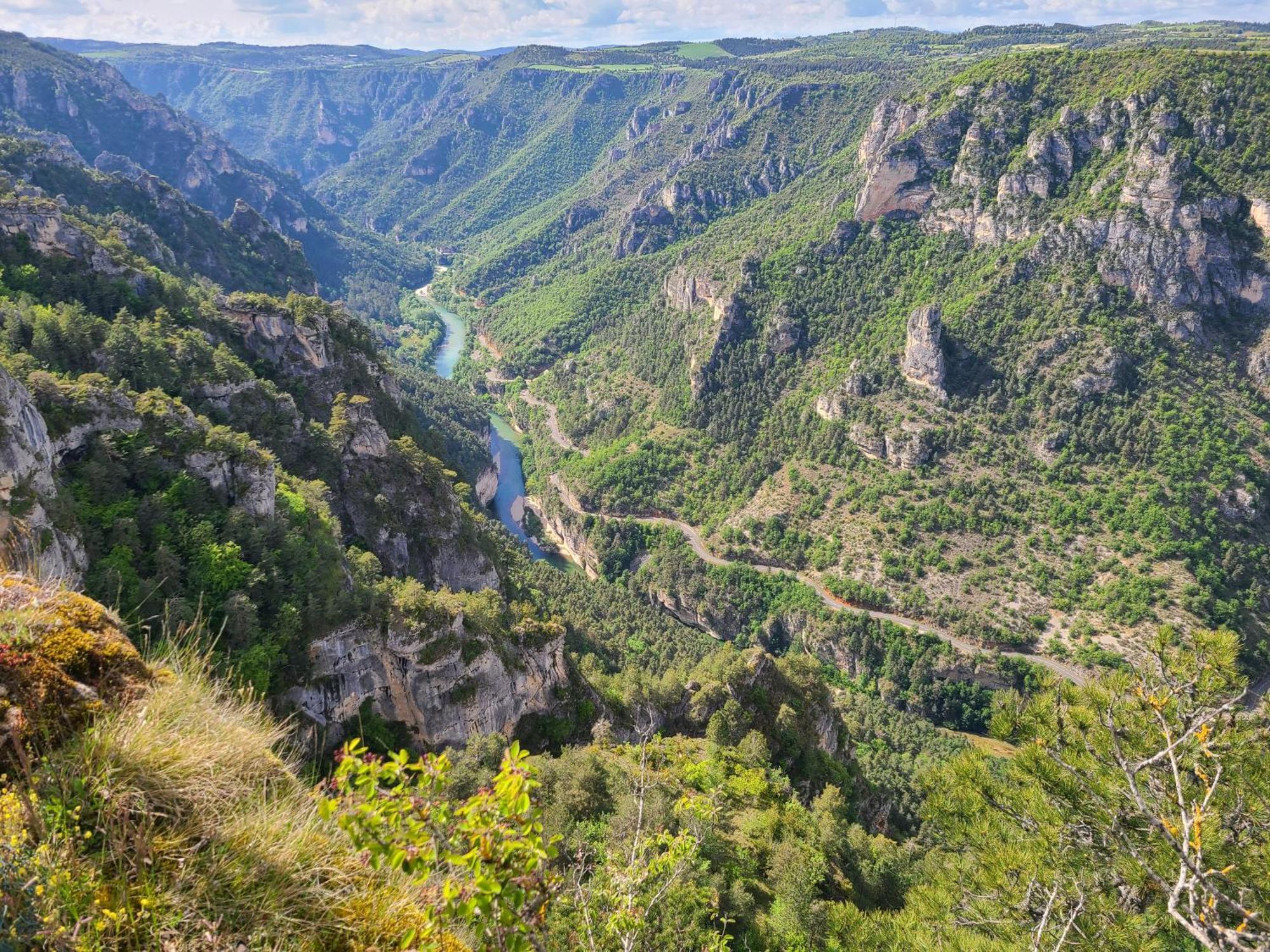 Gites La Boletiere Saint-Étienne-du-Valdonnez エクステリア 写真